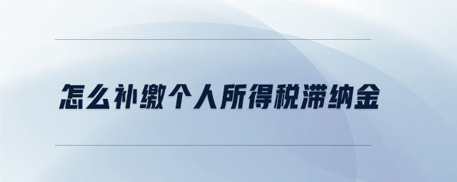 怎么補繳個人所得稅滯納金