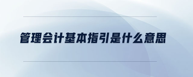 管理會計基本指引是什么意思