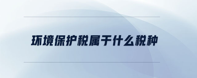 環境保護稅屬于什么稅種