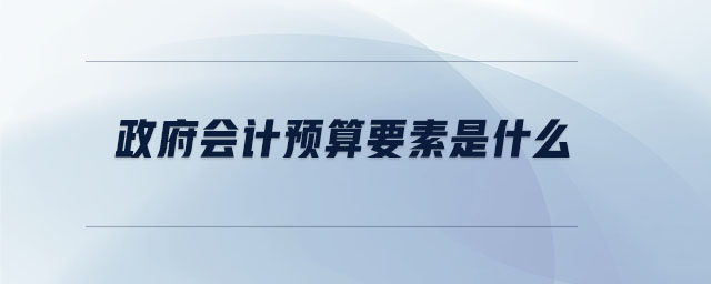 政府會計預(yù)算要素是什么
