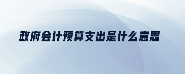 政府會計預算支出是什么意思