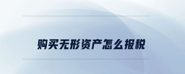 購買無形資產怎么報稅