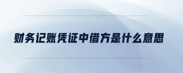 財務記賬憑證中借方是什么意思