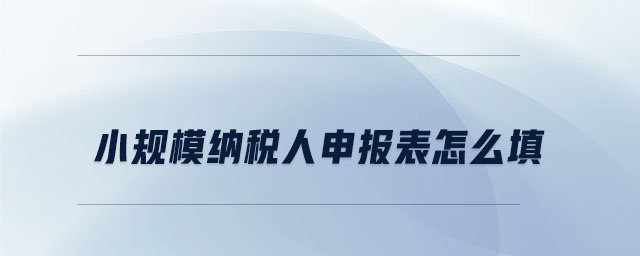 小規模納稅人申報表怎么填