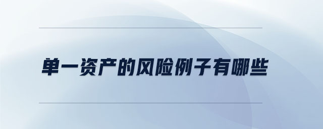 單一資產(chǎn)的風(fēng)險例子有哪些