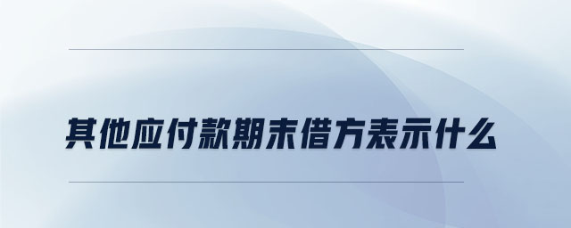 其他應付款期末借方表示什么