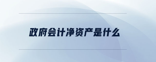 政府會計(jì)凈資產(chǎn)是什么