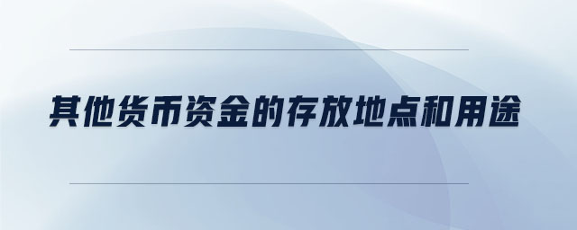其他貨幣資金的存放地點(diǎn)和用途