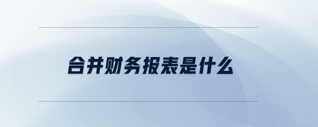 合并財務(wù)報表是什么