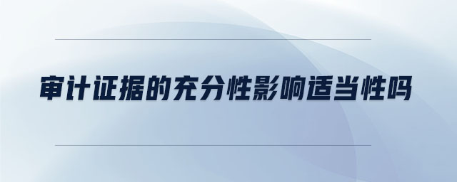 審計證據的充分性影響適當性嗎