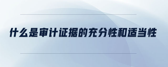 什么是審計證據(jù)的充分性和適當性