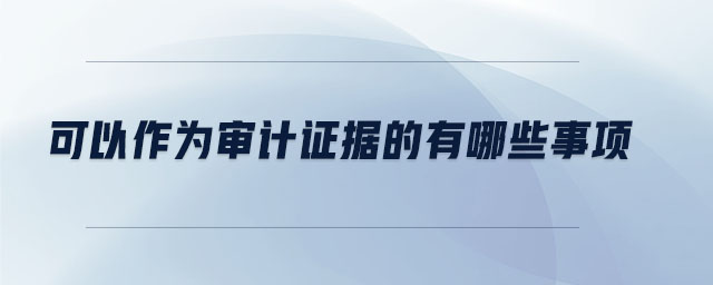 可以作為審計證據的有哪些事項