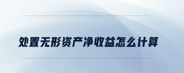 處置無形資產(chǎn)凈收益怎么計(jì)算