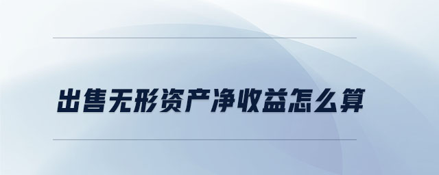 出售無(wú)形資產(chǎn)凈收益怎么算