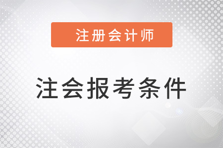 山東報考注會的條件高嗎？