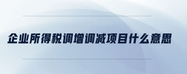 企業(yè)所得稅調(diào)增調(diào)減項目什么意思