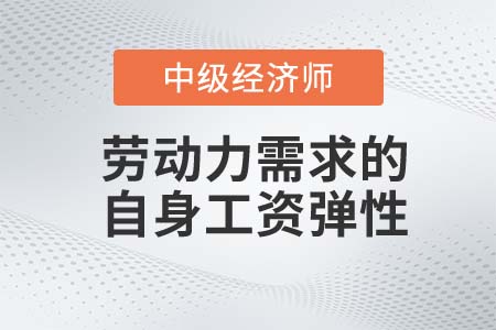 勞動力需求的自身工資彈性_2022中級經濟師人力資源知識點