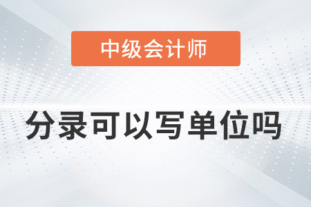2022年中級會計實務分錄后面可以寫單位嗎？