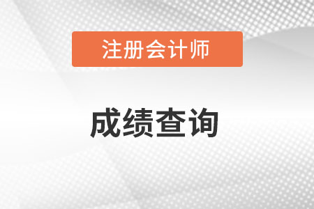 2022上海市金山區(qū)注冊(cè)會(huì)計(jì)師成績(jī)?cè)趺床樵內(nèi)肟谑鞘裁矗? alt=