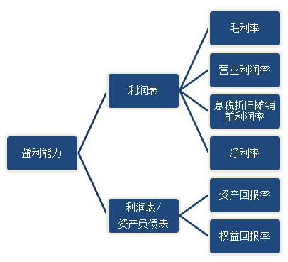 盈利能力 盈利能力