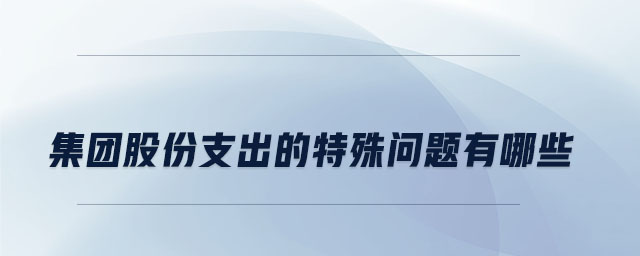 集團股份支出的特殊問題有哪些