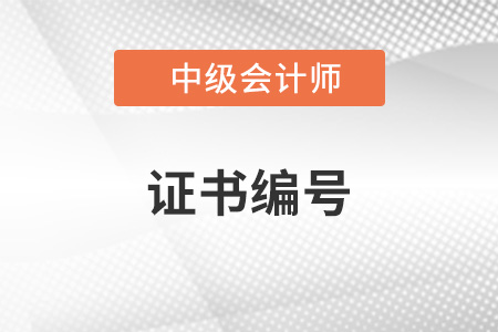 中級會計證書編號查詢流程有哪些步驟？