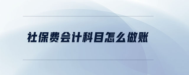 社保費會計科目怎么做賬