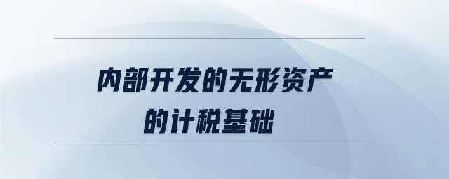 內部開發的無形資產的計稅基礎