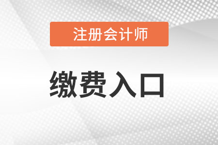 注冊會計師繳費入口能查看么？