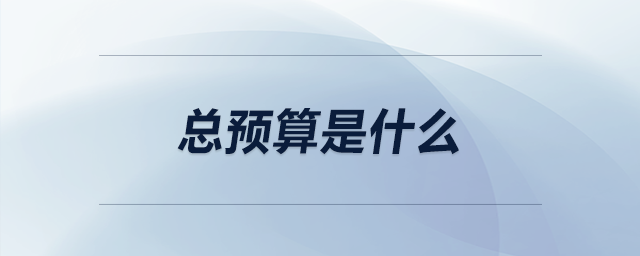 總預算是什么