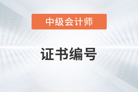 中級會計師證書號是哪一個你了解嗎？