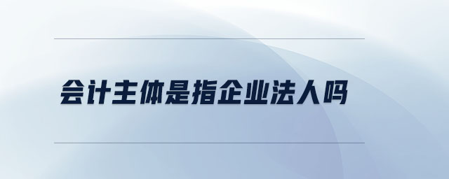 會計主體是指企業法人嗎