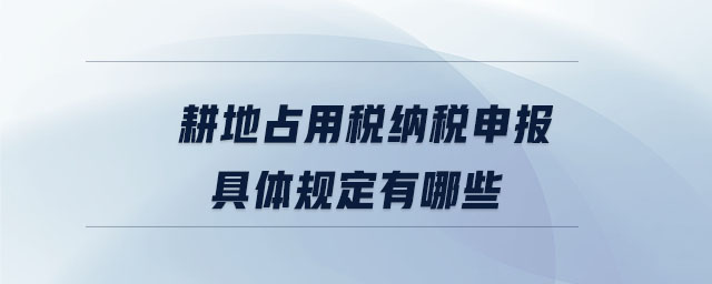 耕地占用稅納稅申報(bào)具體規(guī)定有哪些