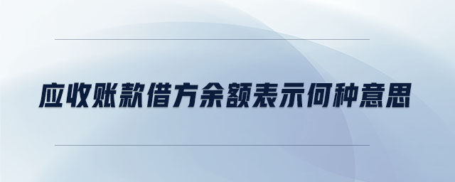 應收賬款借方余額表示何種意思