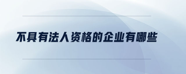 不具有法人資格的企業(yè)有哪些