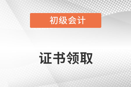 初級會計證書電子版查詢官網是什么