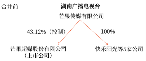 企業合并概述2