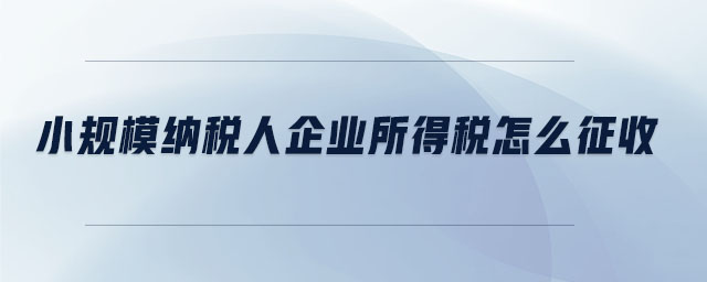 小規模納稅人企業所得稅怎么征收