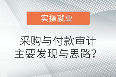 采購與付款審計主要發現與思路？