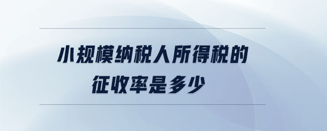 小規模納稅人所得稅的征收率是多少
