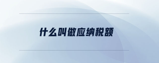什么叫做應納稅額
