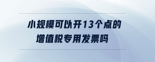 小規(guī)?？梢蚤_(kāi)13個(gè)點(diǎn)的增值稅專用發(fā)票嗎