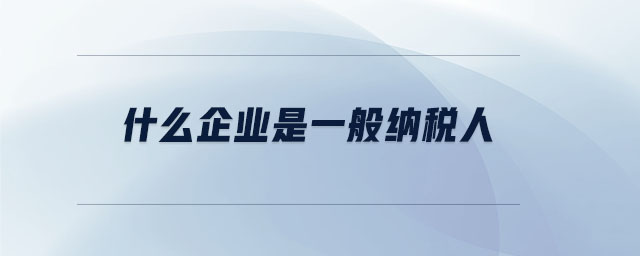 什么企業是一般納稅人