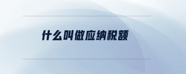 什么叫做應納稅額
