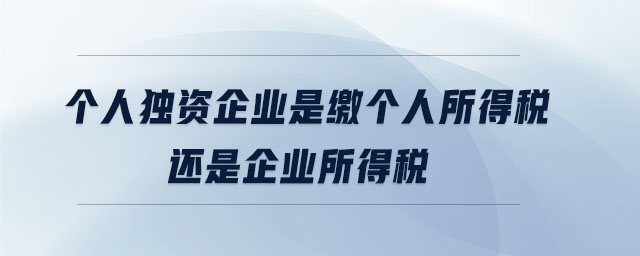 個人獨資企業是繳個人所得稅還是企業所得稅