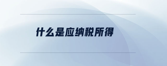 什么是應(yīng)納稅所得