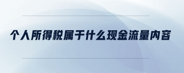 個人所得稅屬于什么現金流量內容