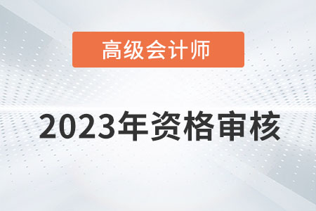 甘肅省2023年高級會計師考試資格審核方式：網上審核