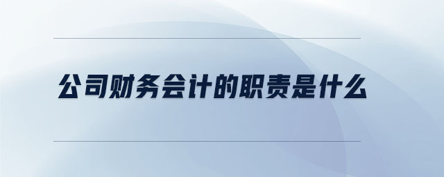 公司財務會計的職責是什么