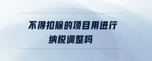 不得扣除的項目用進行納稅調整嗎